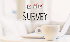 Are surveys important for travel agencies and tour operators?